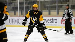 Ty voit is a 2021 nhl draft eligible prospect, who hails from pittsburgh, pennsylvania. Dick S Sporting Goods Pittsburgh Penguins Elite Players Selected In Ushl Draft