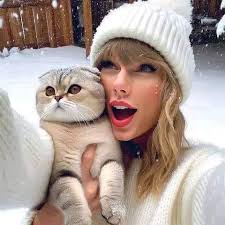 Do Taylor Swift's cats travel with her?