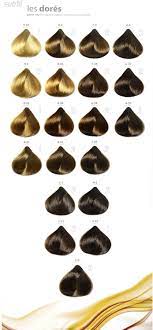 Subtil Golden Colors Coloration Cheveux Coiffure Et Beaute Coiffure