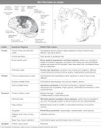 Usmle Step 1 Qbank Medical Studies Medical School Studying Emergency Nursing