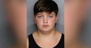 Deputies: Teen used modified airsoft gun to rob Punta Gorda store for vape  pens