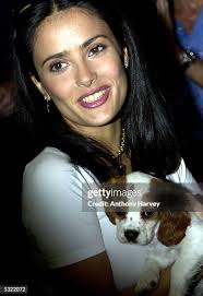 204 Salma Hayek Young Stock Photos, High-Res Pictures, and Images