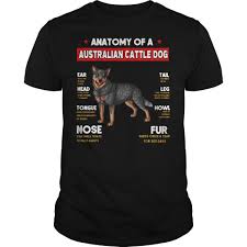 Anatomy Of A Australian Cattle Dog Ear Head Tongue Nose Tail Shirt Hoodie Sweater And V Neck T Shirt Australian Cattle Dog Cattle Dog Dog Ear
