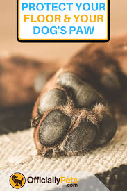 Pin By Dog Mom Avenue On Dog Grooming Dog Socks Dog Paws Dog Boots