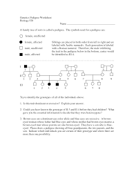 Pedigrees practice answer key title pedigrees practice subject this worksheet looks at pedigrees in families with albinism track the alleles as they. Pedigree Worksheet Interpreting A Human Pedigree Nidecmege