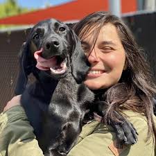 THE BEST 10 PET BOARDING near SOLON, OH 44139