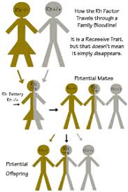 Rh Negative Blood Type Information Haplogroup J Genetics