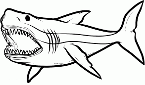 This collection includes mandalas, florals, and more. Big Angry Sharks Coloring Pages For Kids Etk Printable Sharks Coloring Home