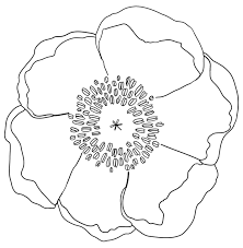 Its seeds scattered in the wind and sat dormant in the ground, only germinating when the ground was disturbed—as it was by the very brutal fighting of world war 1. Remembrance Day Poppy Clipart Clipart Clipartbarn Poppy Drawing Flower Drawing Poppy Template