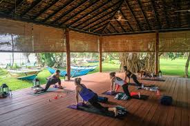 We did not find results for: Sri Lanka Yoga Urlaub Vom Spezialisten
