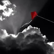 Beautiful Black And White With Color Splash Art42 Beautiful Pictures Color Splash Black And White Color Pop