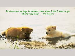 If There Are No Dogs In Heaven Then When I Die I Want To Go Where They Went Will Rogers Quote Dog Love Dog Heaven Dog Quotes Dog Lovers