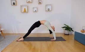 Where did vinyasa yoga come from. Online Live Friday S Vinyasa Flow D E F Lowme Yoga
