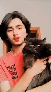 Tiger Zinda Hai Full Movie 1 Scenes