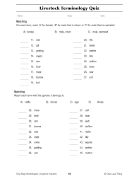 Livestock Industry One Step Worksheets Pdf Download One Less Thing
