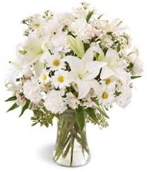 Visit your local louisville, ky dollar tree location. Lloyd S Florist Flower Shop Louisville Ky Flower Delivery Louisville