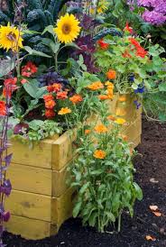 Sunflower Garden Design 26 Vegetable Garden Soil Flower Garden Design Sunflower Garden