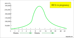 beta hcg level hcg human chorionic gonadotropin hcg