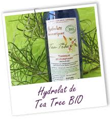 Hydrolat De Tea Tree Bio Hydrolat Sante Beaute Huilles Essentielles