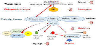 Network Pharmacology of Adaptogens in the Assessment of Their Pleiotropic  Therapeutic Activity