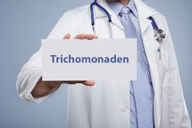 Trichomonaden Eine Der Haufig Vorkommenden Geschlechtskrankheiten Kondom Guru