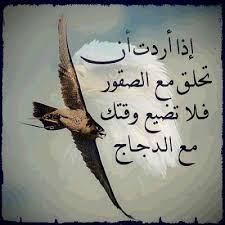 إذا أردت أن تحلق مع الصقور لا تضيع وقتك مع الدجاج ex quotes eagles quotes blog posts