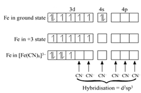 In order to form a 3+ ion, it must lose three electrons. A For The Complex Fe Cn 6 3 Write The Hybridization Type Magnetic Character And Spin Nature Of The Complex At Number Fe 26 B Draw One Of The Geometrical Isomers Of The Complex