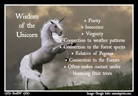 Wisdom Of The Unicorn Spirit Animal Meaning Animal Spirit Guides Animal Medicine