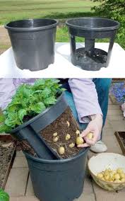See full list on wikihow.com Grow Potatoes In Containers Bags 8 Best Secrets A Piece Of Rainbow