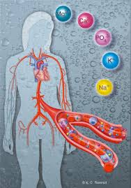 Det virker inn på kalsiumnivået i kroppen og kan føre til alvorlige helseproblemer. Hyperkalsemi Store Medisinske Leksikon