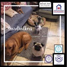Pet sitting as a business and career opportunity. Boardwalkers Dog Home Boarder Dog Walker Pet Sitting Home Facebook