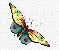Butterfly Clipart Cartoon Transparent Cartoon Butterfly Transparent Background Butterfly Cartoons Hd Png Download Vhv Clip art images are on a transparent background. butterfly clipart cartoon transparent