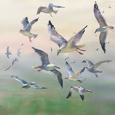Drawing Birds Flying In The Sky Painting The Sea Longing Art By Aquarellepainting Seagull Illustration Birds In The Sky Bird Drawings