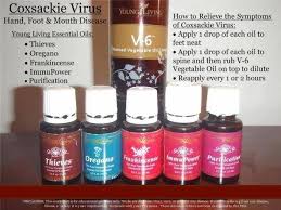 Essential Oils 101 A Free Online Video Class Essential Oil Recipes Living Essentials Oils Young Living Oils Recipes