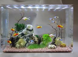 Miniature Aquarium Fish Tank For A Dollhouse Wall 1 12 Scale Etsy Miniature Aquarium Fish Aquarium Decorations Dollhouse Fish