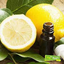 Mucizevi Bir Bitki Olan Ve Limon Otundan Elde Edilen Limon Esansiyel Yagi Guclu Bir Antioksidandir Bu Nedenle Hem Fiziksel Hem De Zihinsel Otlar Bitki Limon