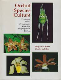 Japanese Flower Arrangement for Modern Homes