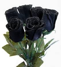 Image result for karangan bunga mawar biru