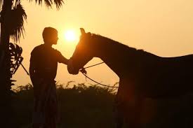 The makers of dhanush's upcoming film karnan released the film's first single titled karnan apart from dhanush and rajisha vijayan, karnan stars lakshmi priya chandramouli, lal, natarajan. Second Schedule Of Dhanush Mari Selvaraj Karnan Wrapped Up Cinema Express