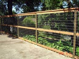 The primary benefit of both paint and stain is that it protects your wood fence against rot, mold, and insects, as well as weather damage (which some wood fences are more susceptible to than others). 2 4 Non Climb Wire Arbor Fence Inc A Diamond Certified Company Garden Fencing Garden Fence Fence Design