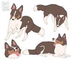 Samalamscribbles Animal Drawings Dog Art Cute Animal Drawings