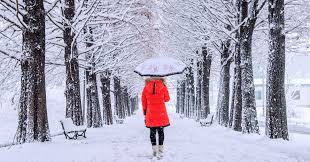 Teruja dengan salji gebu memutih menarik pemuda ini ke jepun. Waktu Yang Sesuai Melawat Korea Musim Di Korea