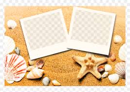 Education wallpapers hd for desktop. Starfish Ppt Background Hd Png Download Vhv