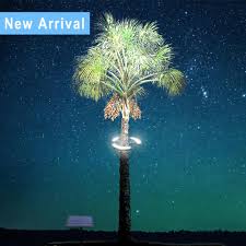 Aiming one light up and one light down. High Efficiency And Energy Saving Ip65 Spotlight For Palm Tree Landscape Lamp Solar Led Tree Ring Light Buy Outdoor Led Tree Lights Solar Landscape Light Solar Palm Tree Light Product On Alibaba Com