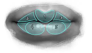 How To Draw Lips A Step By Step Guide For Beginners Though it may seem quite simple to think of the upper lip as an m it just might be the visual that you need to keep in mind to help you easily. how to draw lips a step by step guide