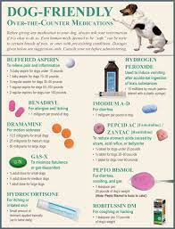 New zealanders will vote in september on the end of life choice act. How To Euthanize A Cat With Over The Counter Drugs Arxiusarquitectura