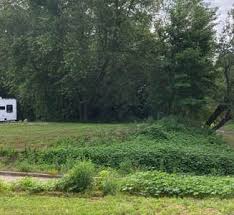 Best Dispersed Camping near Arrow Rock, MO