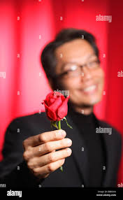 Of a rose hi-res stock photography and images