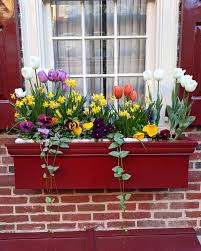 Here is a flower box that is attached to a shingled overhanging roof. 20 Window Box Flower Ideas What Flowers To Plant In Window Boxes Apartment Therapy