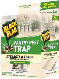 The safer brand the pantry pest pantry moth trap controls moths and their larvae brought into your home in flour, grains and bird seed. 6 Pack Black Flag Pantry Pest Trap For Moths Pests 2 Glue Traps Each 12 Total Walmart Com Walmart Com